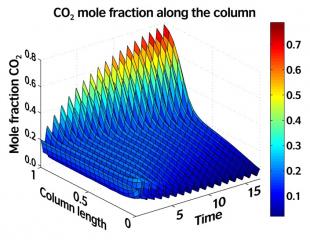 Simulation of a test case starting with a uniform CO2/N2 mixture and inducing a concentration gradient along the column length.