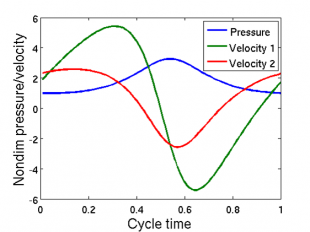 Pressure and flow velocity profiles corresponding to the cycle shown above.
